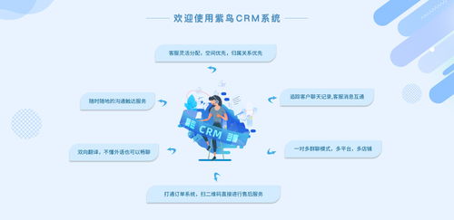 電商行業CRM云客服管理系統選哪家？紫鳥云客服——互聯網信息技術服務的卓越選擇